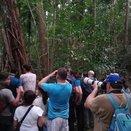 Tangkoko Backpacker Home Stay Rinondoran Kültér fotó