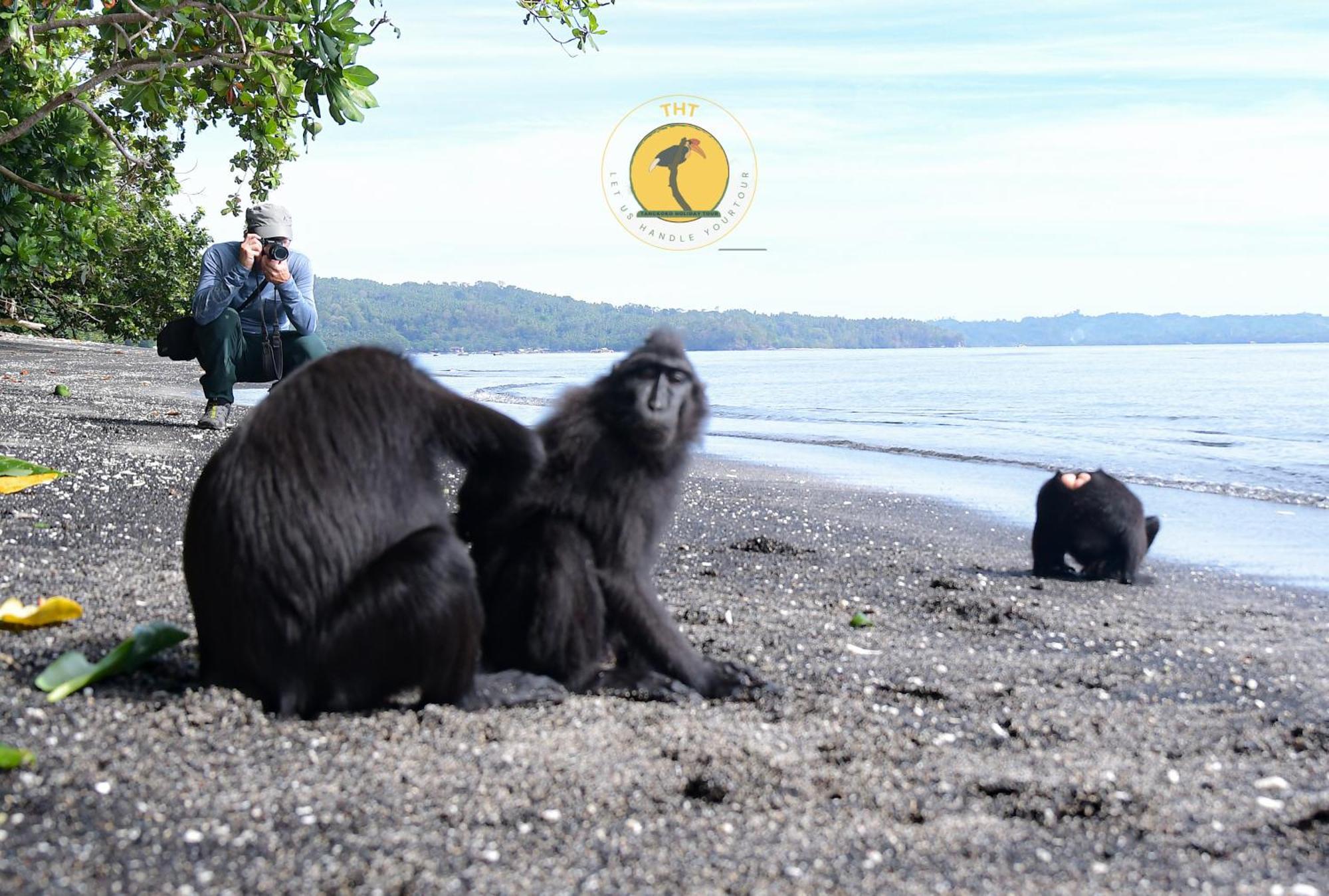Tangkoko Backpacker Home Stay Rinondoran Kültér fotó